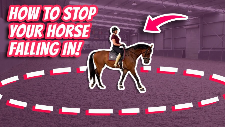 How to Stop Your Horse Falling in? – DMA TV Episode 329